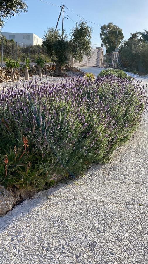 Villa Lp Kokkino Chorio Dış mekan fotoğraf