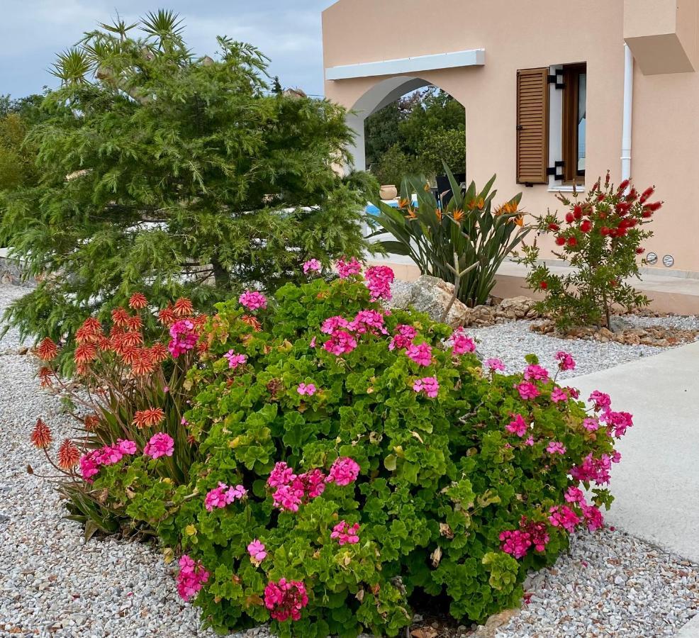 Villa Lp Kokkino Chorio Dış mekan fotoğraf